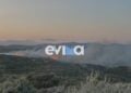 Εικόνα από τη φωτιά που έχει ξεσπάσει στους Τσακαίους στη νότια Εύβοια (φωτ.: evima.gr)