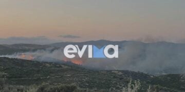 Εικόνα από τη φωτιά που έχει ξεσπάσει στους Τσακαίους στη νότια Εύβοια (φωτ.: evima.gr)