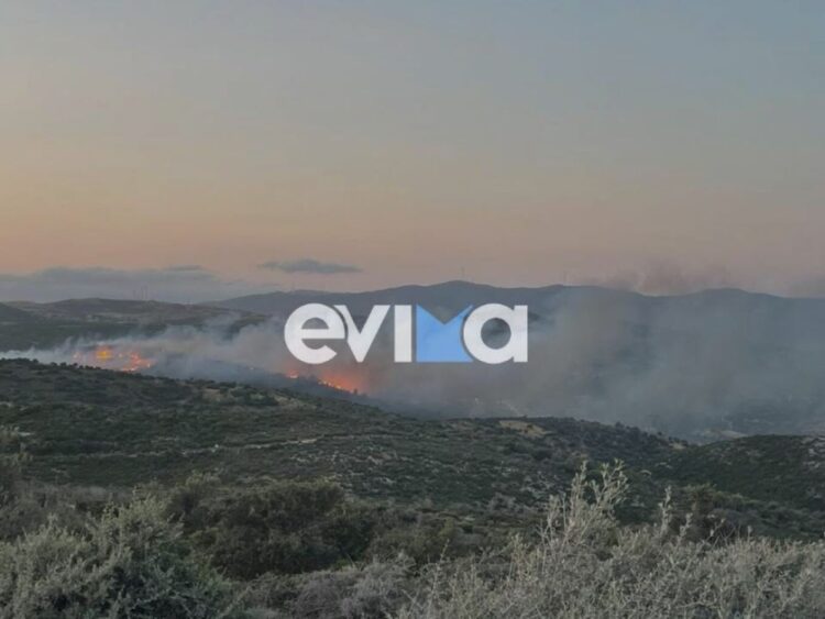 Εικόνα από τη φωτιά που έχει ξεσπάσει στους Τσακαίους στη νότια Εύβοια (φωτ.: evima.gr)