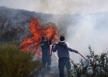 Φωτιά στο Άνω Σούλι Μαραθώνα, Δευτέρα 16 Ιουνίου 2025 (φωτ.: EUROKINISSI / Θανάσης Δημόπουλος)