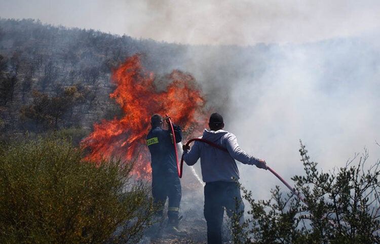Φωτιά στο Άνω Σούλι Μαραθώνα, Δευτέρα 16 Ιουνίου 2025 (φωτ.: EUROKINISSI / Θανάσης Δημόπουλος)