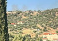 Καπνός από τη φωτιά στην Παιανία (πηγή: Facebook)