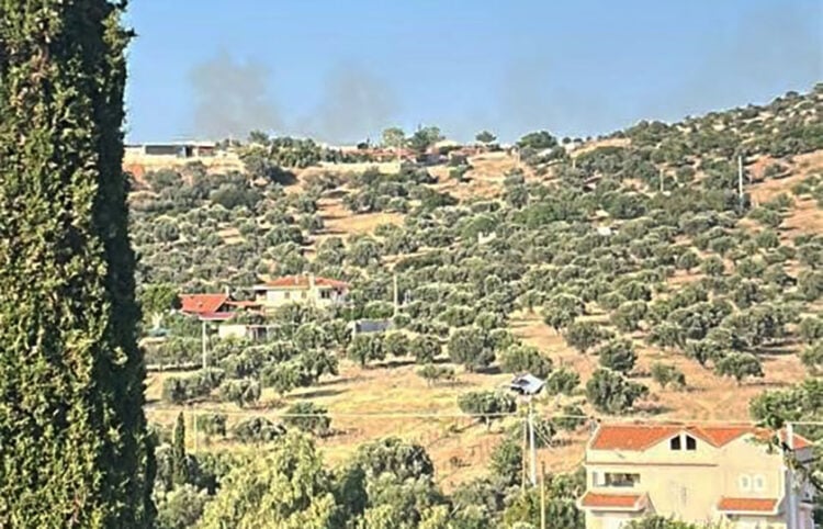 Καπνός από τη φωτιά στην Παιανία (πηγή: Facebook)