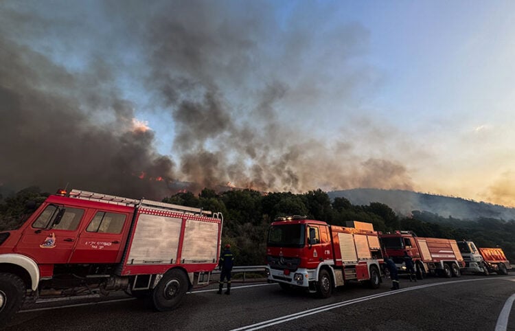 Πυρκαγιά σε δασική έκταση στην περιοχή Άνω Πλατανίτης της Ναυπάκτου (φωτ.: nafpaktospress.gr / EUROKINISSI)