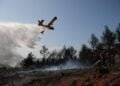 Καναντέρ επιχειρεί κατά της φωτιάς στην Ευκαρπία (φωτ.: EUROKINISSI/Νάσος Σιμόπουλος)