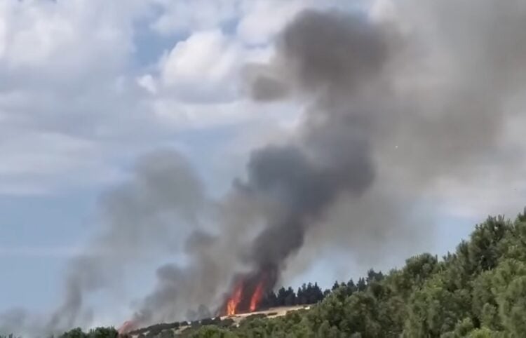 Στιγμιότυπο από τη φωτιά στην Εφεδρούπολη (φωτ.: YouTube)