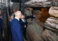 Ο Τούρκος υπουργός Πολιτισμού και Τουρισμού Μεχμέτ Νουρί Ερσόι βλέπει από κοντά τον ταφικό θάλαμο με την ξύλινη κατασκευή (φωτ.: Χ / 
Mehmet Nuri Ersoy)