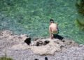 Αντίδοτο στη ζέστη οι δροσερές θάλασσες (φωτ.: EUROKINISSI / Βασίλης Παπαδόπουλος)