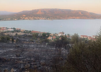 Καμένη έκταση πάνω από το Καραβοστάσι (φωτ.: Facebook / Αλειφέρη Παναγιώτα)