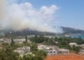 Η φωτιά καίει δασική περιοχή στην ανατολική είσοδο της πόλης (φωτ.: ΑΠΕ-ΜΠΕ)