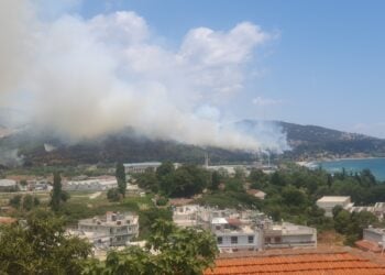 Η φωτιά καίει δασική περιοχή στην ανατολική είσοδο της πόλης (φωτ.: ΑΠΕ-ΜΠΕ)