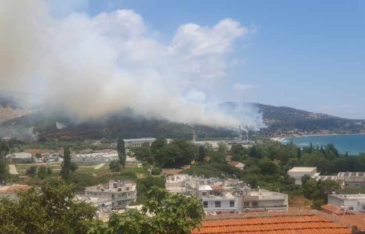 Η φωτιά καίει δασική περιοχή στην ανατολική είσοδο της πόλης (φωτ.: ΑΠΕ-ΜΠΕ)