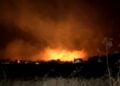 Οι φλόγες έκαψαν χορτολιβαδικές εκτάσεις μεταξύ του Λαγκαδά και της Εγνατίας Οδού (φωτ.: glomex)