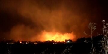 Οι φλόγες έκαψαν χορτολιβαδικές εκτάσεις μεταξύ του Λαγκαδά και της Εγνατίας Οδού (φωτ.: glomex)