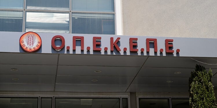 (Φωτ.: EUROKINISSI / Τατιάνα Μπόλαρη)