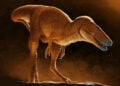 (Καλλιτεχνική απεικόνιση: Julius Csotonyi)
