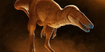 (Καλλιτεχνική απεικόνιση: Julius Csotonyi)