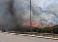 Η φωτιά κατακαίει δασικές και χορτολιβαδικές εκτάσεις (φωτ.: EUROKINISSI/Κώστας Αναγνώστου)
