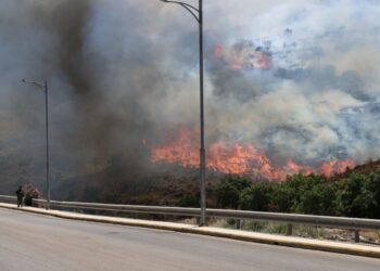 Η φωτιά κατακαίει δασικές και χορτολιβαδικές εκτάσεις (φωτ.: EUROKINISSI/Κώστας Αναγνώστου)
