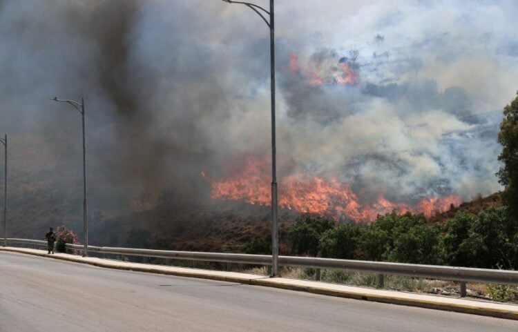 Η φωτιά κατακαίει δασικές και χορτολιβαδικές εκτάσεις (φωτ.: EUROKINISSI/Κώστας Αναγνώστου)