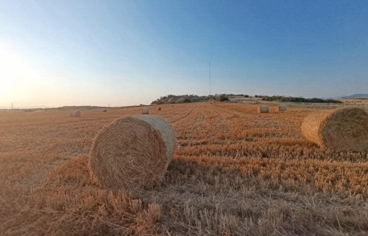 (Φωτ.: Αλεξία Ιωαννίδου)