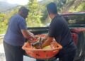Το ζαρκάδι μεταφέρθηκε με ασφάλεια στο Δασαρχείο (φωτ.: epiruspost.gr)