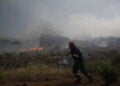 Πυροσβέστης επιχειρεί στην κατάσβεση της πυρκαγιάς στη Ραφήνα (φωτ.: ΑΠΕ-ΜΠΕ / Γιάννης Κολεσίδης)