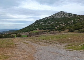 (Φωτ.: Δήμος Ωραιοκάστρου)