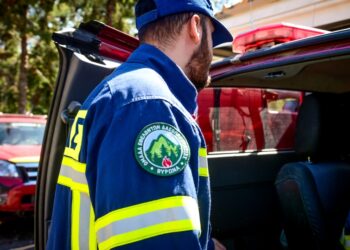 Εθελοντής δασοπροστασίας στο δήμο Βύρωνα (φωτ. αρχείου: EUROKINISSI/Τατιάνα Μπόλαρη)