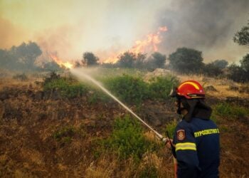 Πυροσβέστης επιχειρεί κατά της φωτιάς στην Εύβοια (φωτ.: EUROKINISSI/Θόδωρος Νικολάου)