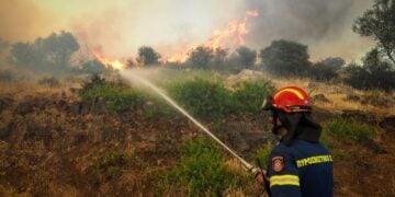 Πυροσβέστης επιχειρεί κατά της φωτιάς στην Εύβοια (φωτ.: EUROKINISSI/Θόδωρος Νικολάου)
