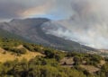Καπνός από τη φωτιά που καταπίνει παρθένο δάσος στον Φενεό (φωτ.: Facebook / Ορεινή Κορινθία - Φενεός)