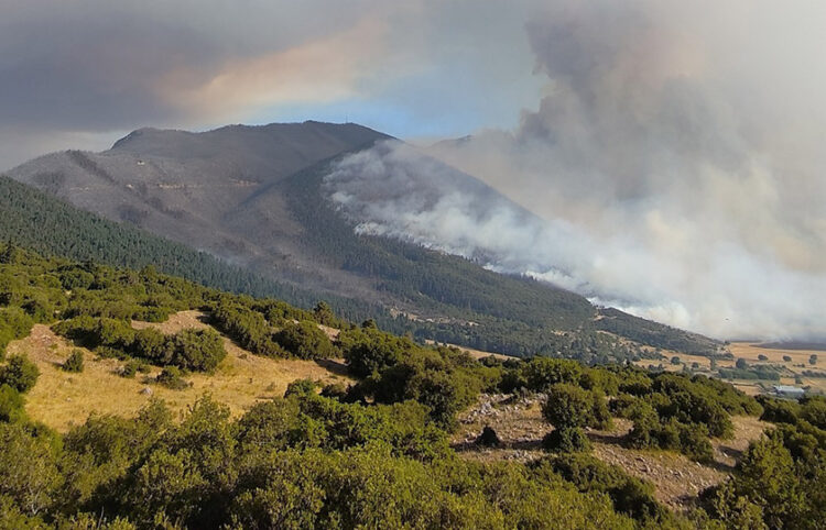 Καπνός από τη φωτιά που καταπίνει παρθένο δάσος στον Φενεό (φωτ.: Facebook / Ορεινή Κορινθία - Φενεός)