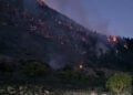 Διάσπαρτες εστίες φωτιάς στον Φενεό (φωτ.: ΕΡΤ)