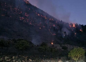 Διάσπαρτες εστίες φωτιάς στον Φενεό (φωτ.: ΕΡΤ)