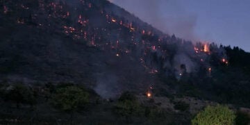 Διάσπαρτες εστίες φωτιάς στον Φενεό (φωτ.: ΕΡΤ)