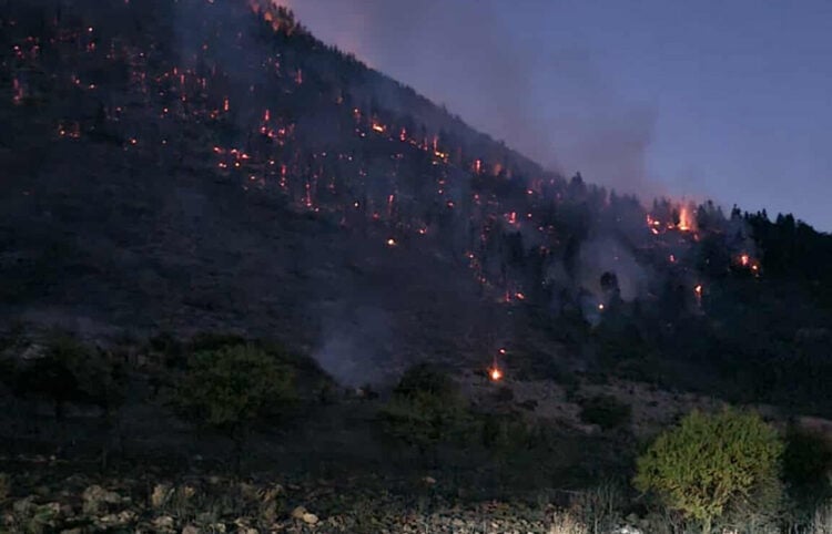 Διάσπαρτες εστίες φωτιάς στον Φενεό (φωτ.: ΕΡΤ)