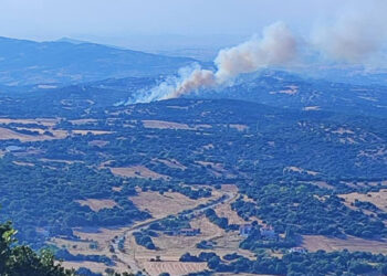 Καπνός από τη φωτιά στο Φίλυρο (φωτ.: Facebook / Πυρκαγιά Ενημέρωση / Giorgos Mathes)
