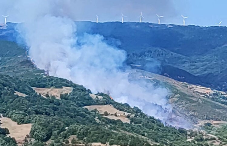 Ο καπνός από τη φωτιά στη Χλόη Ροδόπης (φωτ.: Facebook / Νεντίμ Σερήφ)