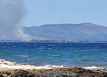 Ο καπνός είναι από τη φωτιά στην περιοχή Ριζάρι του Μαραθώνα (φωτ.: Facebook / Kostas Theofilopoulos)