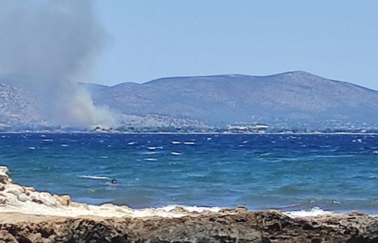 Ο καπνός είναι από τη φωτιά στην περιοχή Ριζάρι του Μαραθώνα (φωτ.: Facebook / Kostas Theofilopoulos)