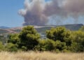 Καπνός από τη φωτιά στον Πισσώνα Ψαχνών (φωτ.: Facebook / Πυρκαγιά Ενημέρωση / Panagiotis Firefighter)