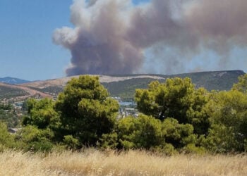 Καπνός από τη φωτιά στον Πισσώνα Ψαχνών (φωτ.: Facebook / Πυρκαγιά Ενημέρωση / Panagiotis Firefighter)