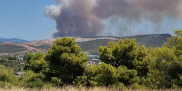 Καπνός από τη φωτιά στον Πισσώνα Ψαχνών (φωτ.: Facebook / Πυρκαγιά Ενημέρωση / Panagiotis Firefighter)