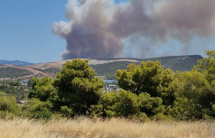 Καπνός από τη φωτιά στον Πισσώνα Ψαχνών (φωτ.: Facebook / Πυρκαγιά Ενημέρωση / Panagiotis Firefighter)