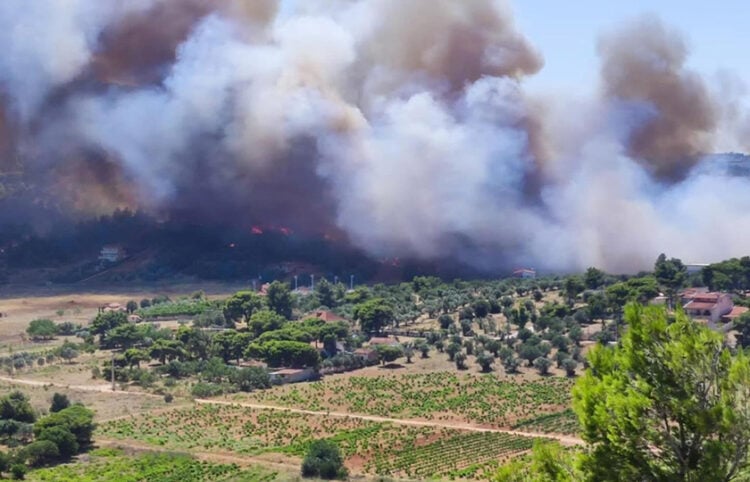 Καπνός από τη φωτιά στη Ραφήνα (φωτ.: Facebook / Forecast Weather Greece / Ali’s stampas)