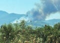 Καπνός από τη μεγάλη φωτιά στη Μεσσηνία, ανάμεσα σε Κρυονέρι και Πολυθέα (φωτ.: Facebook / Forecast Weather Greece)