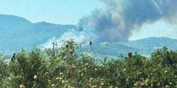 Καπνός από τη μεγάλη φωτιά στη Μεσσηνία, ανάμεσα σε Κρυονέρι και Πολυθέα (φωτ.: Facebook / Forecast Weather Greece)