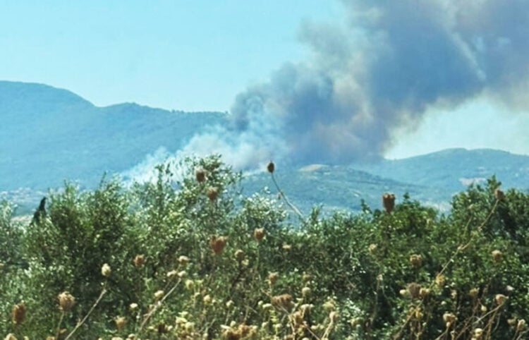 Καπνός από τη μεγάλη φωτιά στη Μεσσηνία, ανάμεσα σε Κρυονέρι και Πολυθέα (φωτ.: Facebook / Forecast Weather Greece)