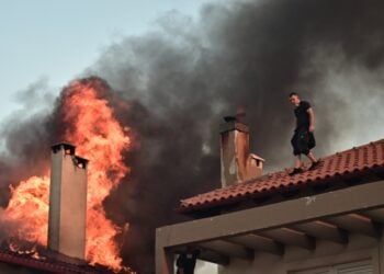 Νεαρός εθελοντής έχει σκαρφαλώσει σε στέγη σπιτιού για να βοηθήσει στην κατάσβεση της φωτιάς (φωτ.: EUROKINISSI/Κώστας Τζούμας)